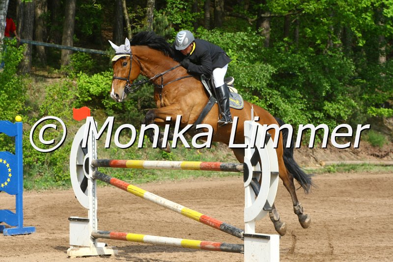 104M4019_Bert_Spring M.JPG